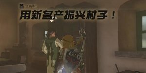 塞尔达传说王国之泪用新名产振兴村子步骤